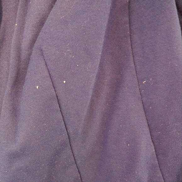 The Limited Blue Blazer - Picture 4 of 4